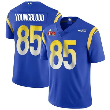 Youth Nike Los Angeles Rams Jack Youngblood Royal Alternate Vapor Untouchable Super Bowl LVI Bound Jersey - Limited